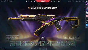 Conta Valorant com muita skin