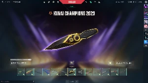 Conta Valorant com muita skin