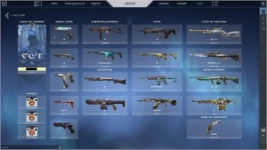 Conta 36 skins (Champions, Sentinelas da Luz, Ancifogo, etc) - Valorant