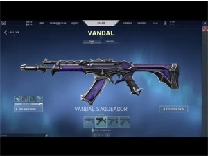 Conta Valorant com Vandal Saqueadora e Vagalume RGX