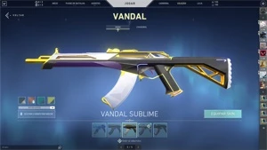 Conta Nível 158, não possui ranking, com varias skin - Valorant