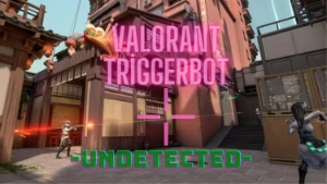 Valorant AutoShot & Trigger Bot / ultima att: 09 08 2023