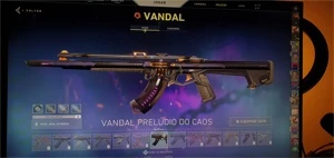 Conta Valorant Ouro 3/Vandal prelúdio do caos