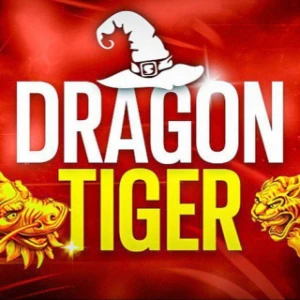 Dragon million - Outros