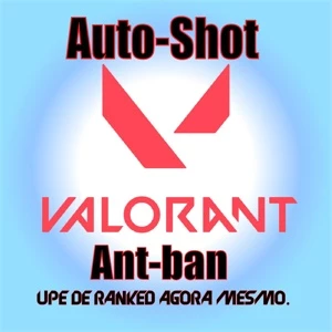 Valorant Auto-Shot