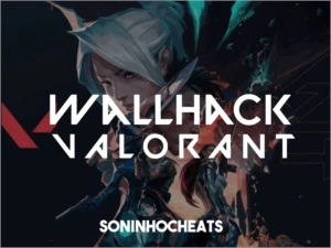 Hack WallHack VALORANT