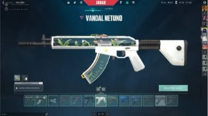 CONTA DE VALORANT COM MUITAS SKINS