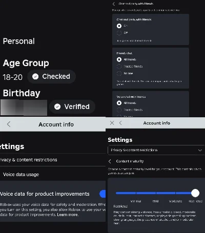 Age 18-20, Verified By Passport, Voice Chat Active - Roblox