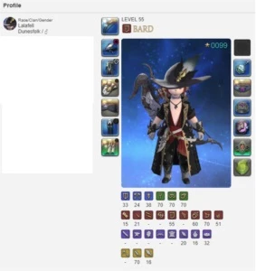 Conta FFXIV todos Healers lvl 70 STORMBLOOD - Others