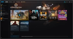 Conta Blizzar com todos os jogos. - Blizzard