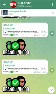 GALA VIP SÓ DE BRANCO 14x - Outros