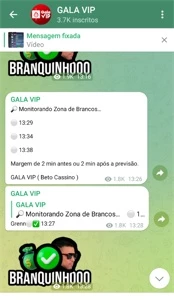 GALA VIP SÓ DE BRANCO 14x - Outros