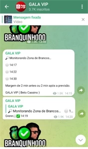 GALA VIP SÓ DE BRANCO 14x - Outros