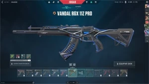 Conta de valorant com vandal rgx