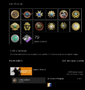 Conta Main Cs2, 26K +14 Medalhas - Counter Strike