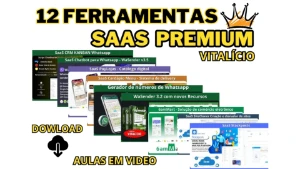 12 Ferramentas Saas Premium 👨‍💼👔💡💸 - Outros