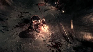 Xbox Vikings: Wolves of Midgard #C74455