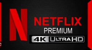 TELA NETFLIX PRIVADA 30 dias (uso particular) - Assinaturas e Premium