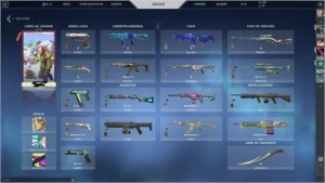Conta-de valorant contendo muitas skins