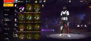 Conta free fire