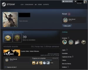Steam Pubg / Cs Go / Patente Alta / Saldo R$ 340,05 Steam