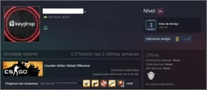 Conta Steam Lv 16 CSGO:PRIME + Jogos na descrição - Counter Strike