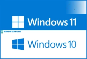 Key de ativação Windows 10/11 pro