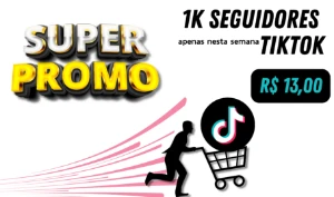 Oferta termina às 20 h de hoje. 1k seg. TIKTOK 13,00 -corra! - Redes Sociais