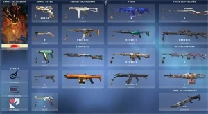 Conta valorant/cheia de skin/desde o beta