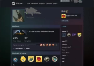 Conta de Steam Nível 31 3 anos de serviço - Counter Strike CS