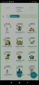 Continha lv 43 com Go fest jogada - Pokémon