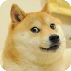 COMPRE CRIPTOMOEDAS - Outros