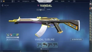 CONTA VALORANT DIVERSAS SKINS