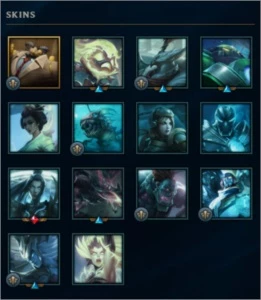 Conta League of Legends Platina varios Campeões e Skins! LOL