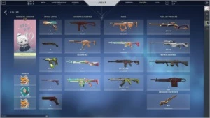 conta valorante com varias skins