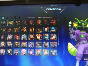 Conta Steam + Paladins conta do beta com skins raras