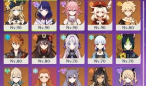 Ar56 América, Navia L Raiden L Citlali L Yae Miko + 8T5
