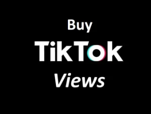 10 k de visualizações vídeos do tik tok - Redes Sociais