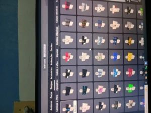 Conta de Roblox com itens raros