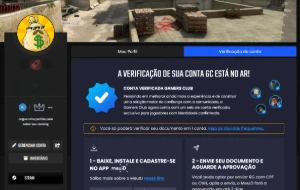 Conta cs2, 2300+horas, 13 medalhas e 1 skin de faca. - Counter Strike