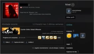 Conta 12 Anos + Prime CSGO - Counter Strike