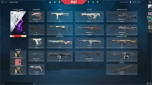 Conta valorant beta com 2000 reais gastos