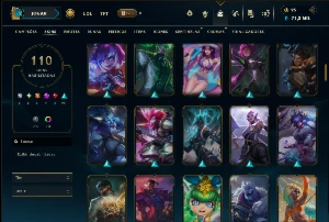 Ferro 1 com TODOS os Champs e 110 Skins - League of Legends LOL