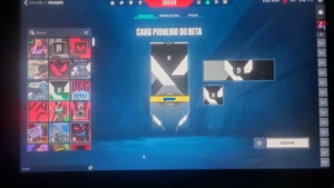 Contas Valorant Com Itens Do Beta