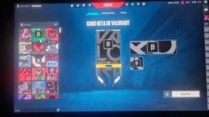 Contas Valorant Com Itens Do Beta