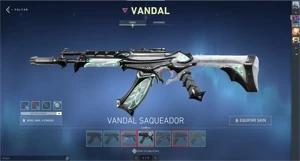 Conta Valorant