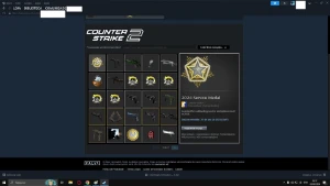 Conta Cs 2 20K Pontos 3K Horas 4 Broches Skins E Jogos 20Gc - Counter Strike