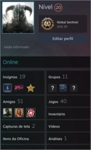 Conta Steam nível 20, 6 anos com VÁRIOS JOGOS