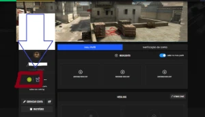Gc Lvl 15 (Gamers Club Level 15 + 10.000 Hours Cs2) - Counter Strike