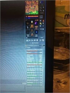 Tibia Elder Druid Lvl 222+ Pvp Thera Pvp + 20kk